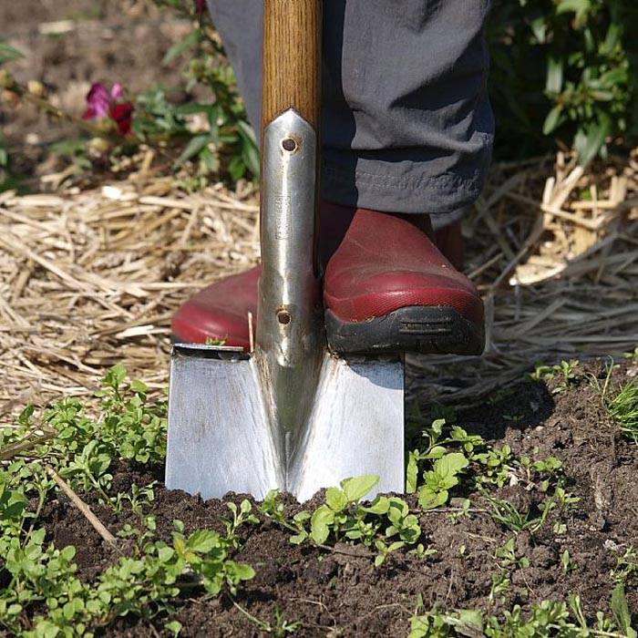 Vintage Spade