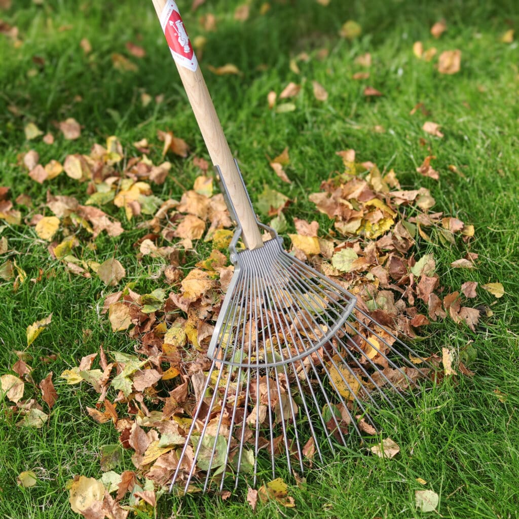 The Benefits of Raking Leaves on Time