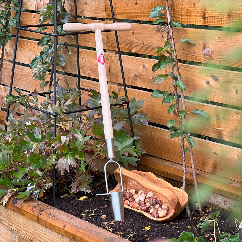 The Importance of Planting Flower Bulbs on Time: A Complete Guide