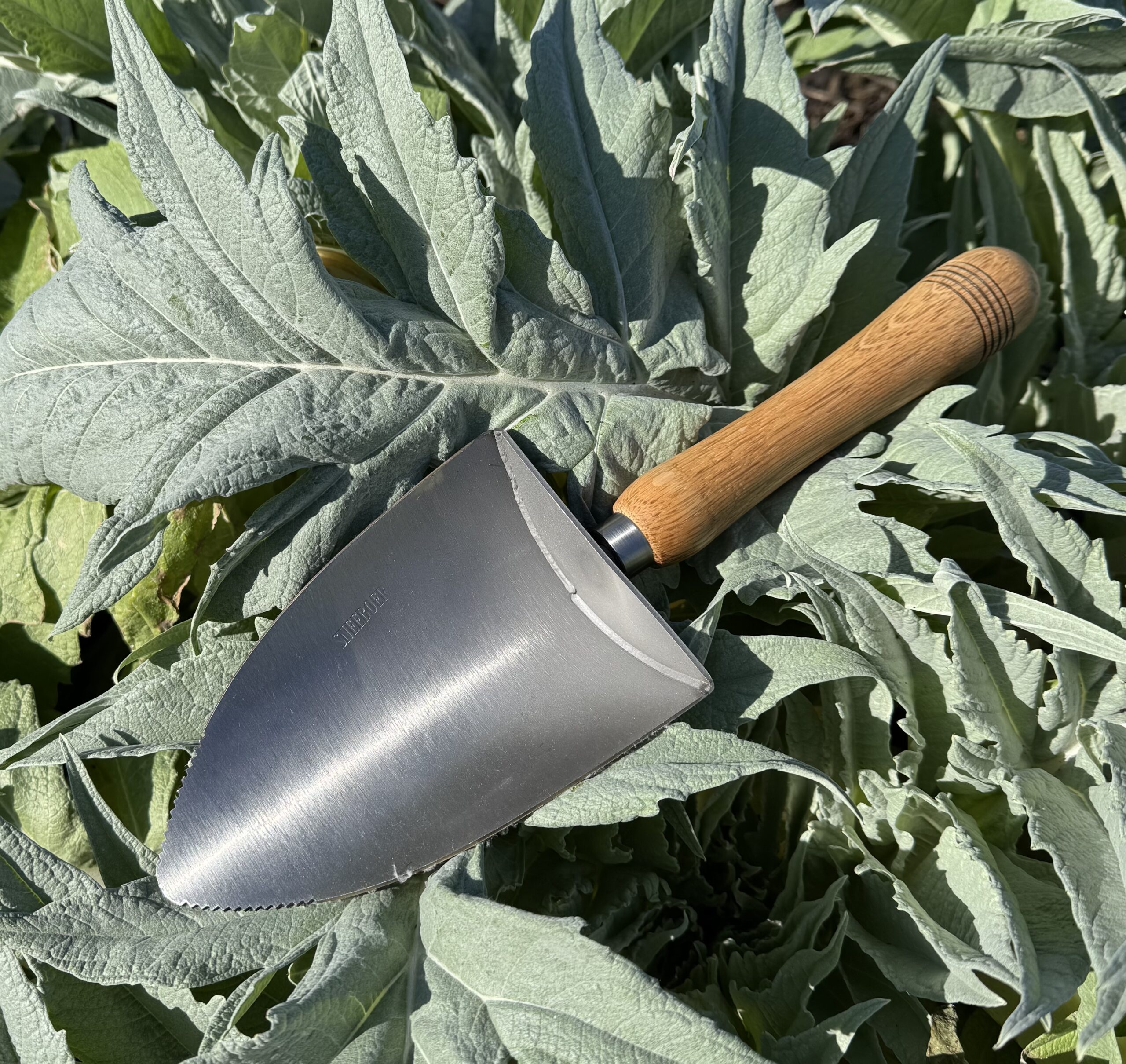 Tuinschepje