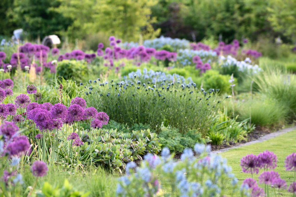 Conseils pour le jardinage de printemps : ce que vous semez maintenant, vous le récolterez plus tard